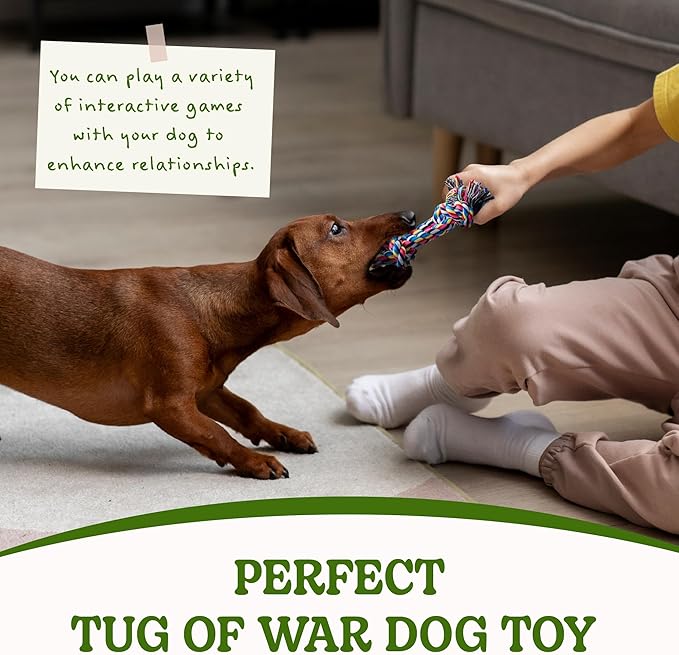 2 Pack Dog Rope Toy for Small Dogs, Puppy Teething Toys, Durable Cotton Puppy Chew Toys for Teething, Small Dog Toys for Aggressive Chewers, Interactive Tug of War Dog Toy for Puppies Boredom-PurrikoPets