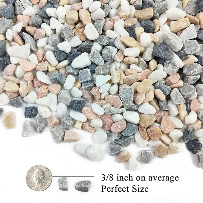 2 lbs Succulent and Cactus Pebbles Gravel, 3/8 Inch Mixed Color Decorative River Rocks for Plants Indoor, Vases, Terrarium, Potted Top Dressing and Outdoor Decorative Stones-PurrikoPets