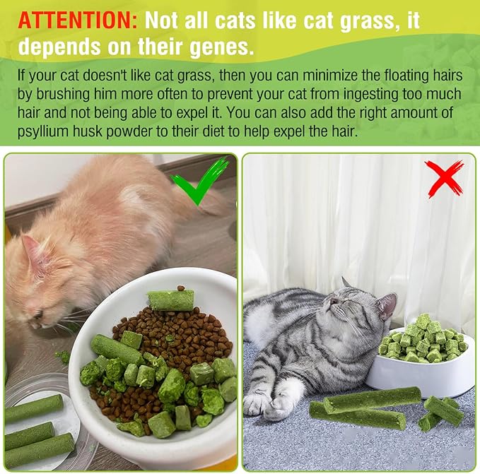 50g Cat Grass Teething Treat, Delicious Cat Grass Teething Snack Edible Cats Chew Toy for Teeth Cleaning and Hairball Removal-PurrikoPets
