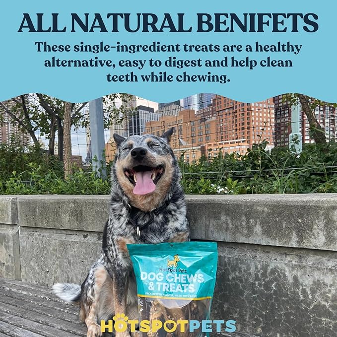 Full-Size Cow Hooves for Dogs | (50 Pack) All-Natural Long Lasting Dog Chews | Made from Grass Fed Cattle | Tasty Treat for Oral Hygiene | Fantastic Alternative for Rawhide and Bully Sticks-PurrikoPets