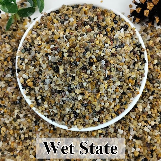 5lbs Aquarium Gravel, 1/8"(2-4mm) Natural River Rocks Succulent Cactus Pea Gravel for Plants, Fish Tank, Decorative Pebbles for Gardening, Flower Pots, Vase Fillers, Landscaping-PurrikoPets