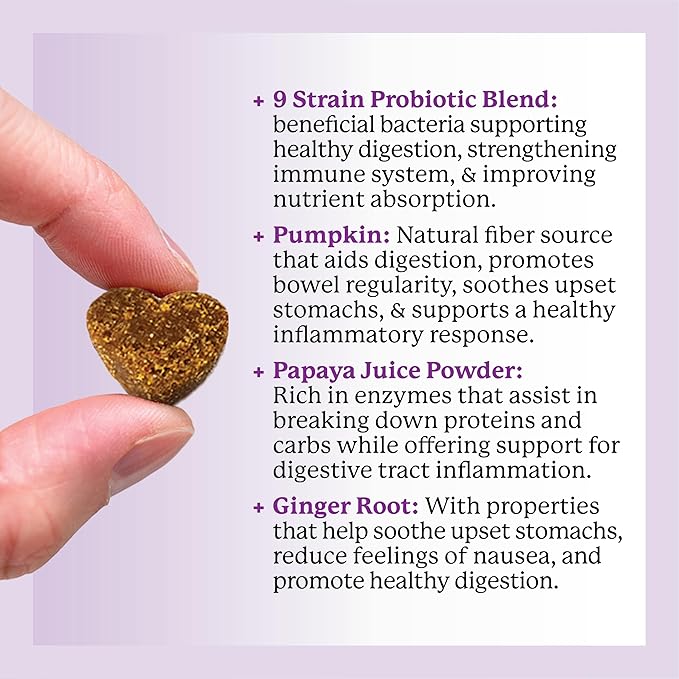 Dr. Harvey's Digestive Probiotic Soft Chews for Dogs, 7 Probiotics for Gut Health, Diarrhea and Bowel Support, Peanut Butter Flavor (90 Chews)-PurrikoPets