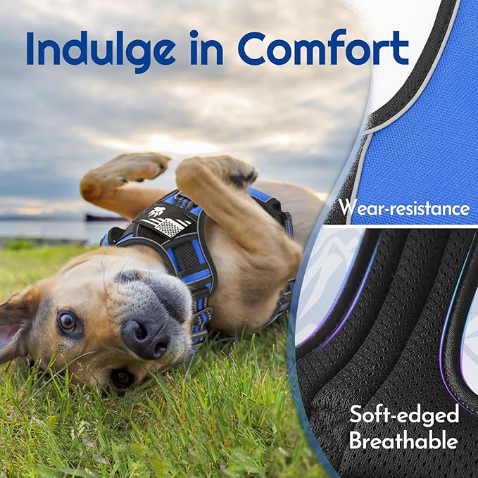 Eagloo Dog Harness Small Sized, Easy Wearing with 3 Buckles, Adjustable No Pull Pet Harness with 2 Rings for Walking, No Chock Reflective Soft Padded Vest with Control Handle, Blue & Black, S-PurrikoPets