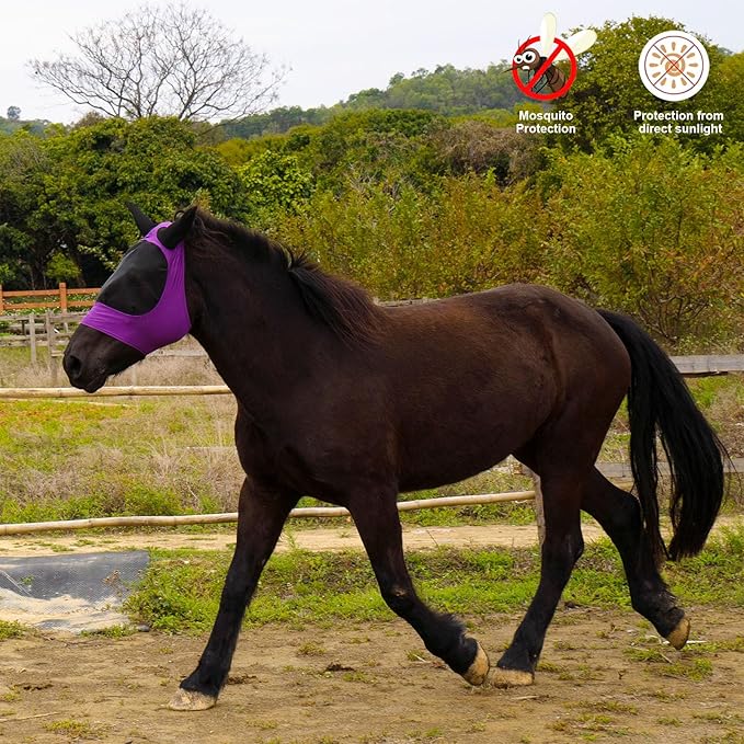 2 Piece Horse Fly Mask with Ears, Comfortable Fit Stretch Fabric Big Eye Space Soft Breathable with UV Protection for Full Horses (Purple-Gray)-PurrikoPets