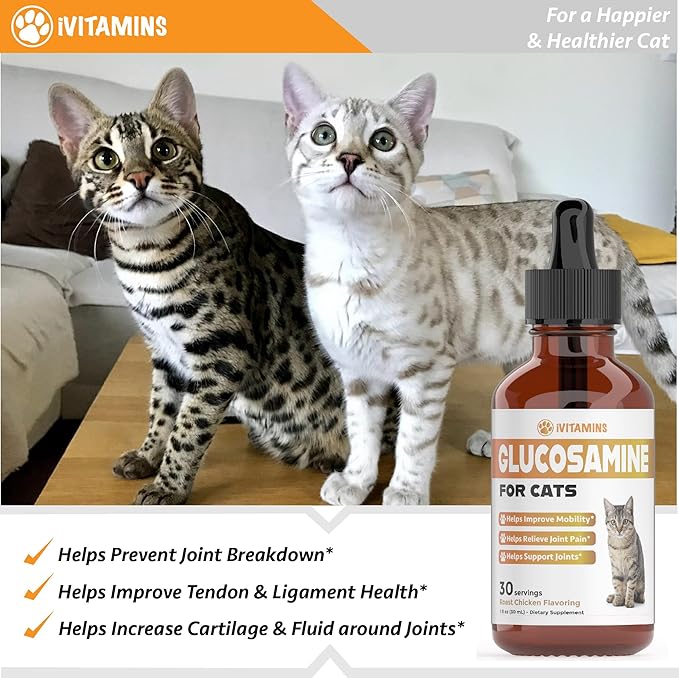 Glucosamine for Cats | Cat Glucosamine | Glucosamine for Cats Liquid | Cat Joint Supplement | Joint Supplement for Cats | Cat Joint Pain Relief | Joint Support for Cats | 1 fl oz: Chicken Flavor-PurrikoPets