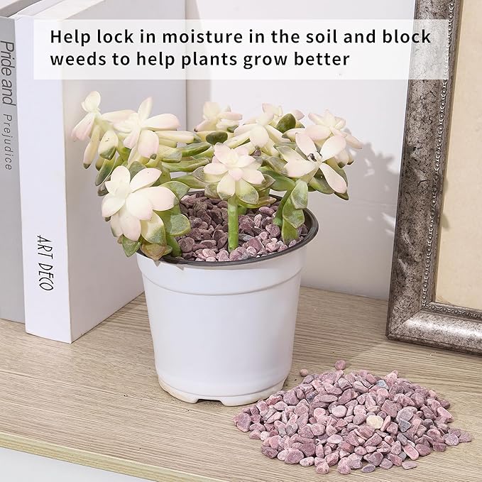 2lb Succulent and Cactus Gravel Pebbles 1/5-3/8 Inch Natural Decorative Polished Stones River Rocks for Plants, Vases, Aquariums, Terrarium and Outdoor Gardening, Rouge Red Color-PurrikoPets