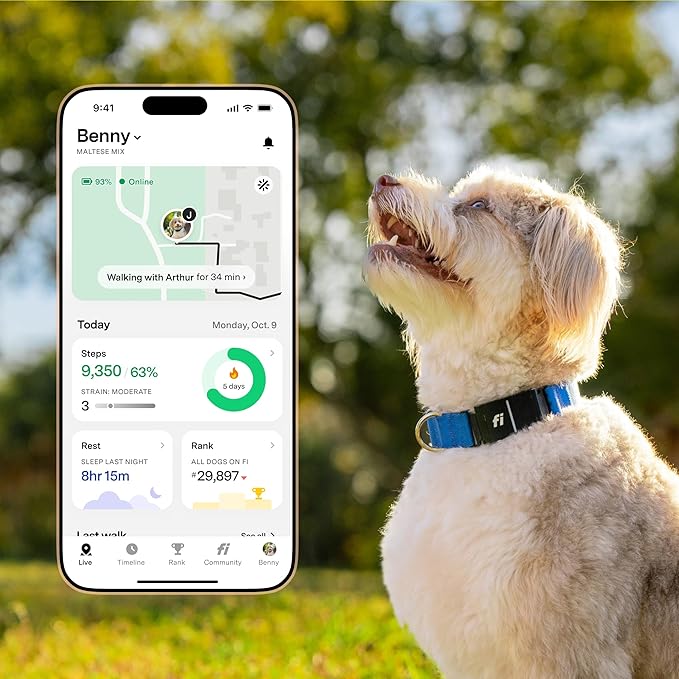 Fi New Series 3+ Smart Dog Tracker Collar – AI GPS for Dogs, Health & Behavior Monitor, Virtual Fence, Escape Alerts, Waterproof, Apple Watch Compatible 12Mo Membership Included-PurrikoPets