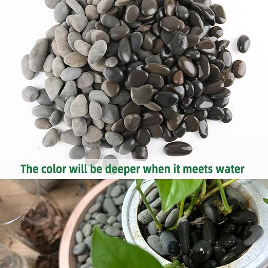 2.4LB River Rocks Mexican Beach Pebbles for Garden Landscape Stone Paving Stone Grey (1Inch)-PurrikoPets