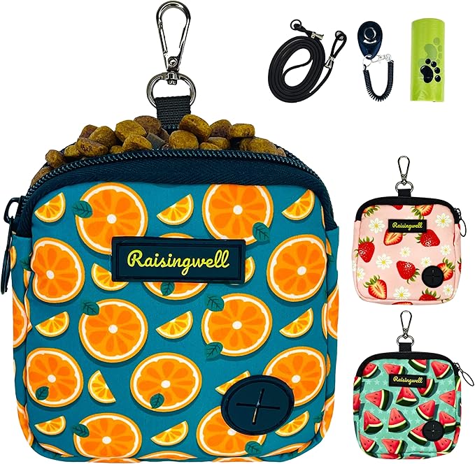 Dog Treat Pouch for Pet Walking and Training with Clicker Poop Bags Small Fanny Zipper Pack Holder for Puppy Snack Dispenser Kit for Leash and Outdoor Use (Fruit Orange)-PurrikoPets