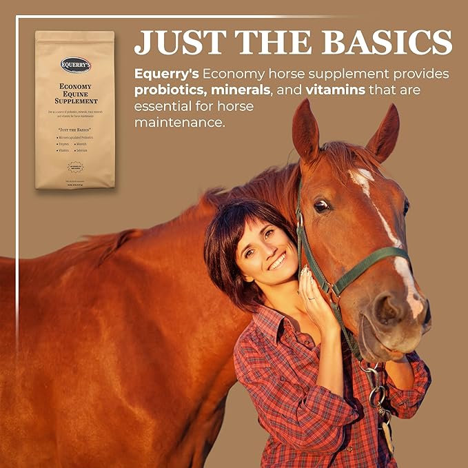 Equerry's Economy Equine Supplement - Horse Probiotics | Supplement for Horses | Horse Vitamins and Minerals Supplement with Enzymes and Selenium,20lb-PurrikoPets