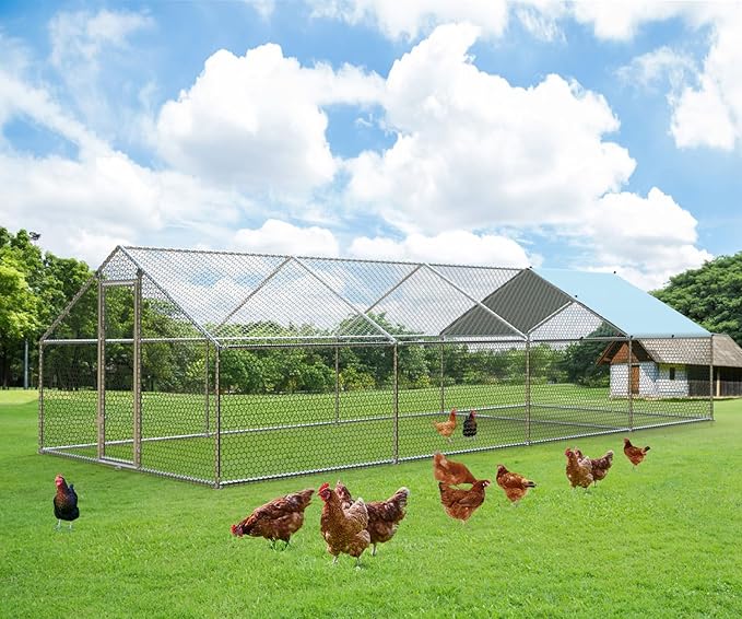 1.26’’ Large Metal Chicken Coop Walk in, Chicken Pen for Chickens, Outdoor Chicken Runs Coops Dog Kennel, Spire Roofed Chicken Runs for Yard with Anti-Ultraviolet Cover (9.8’Lx26.2’Wx6.4’H)-PurrikoPets