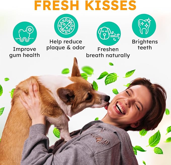 Dog Teeth Cleaning Powder - Dog Breath Freshener + Dental Care for Doggies & Cats + Tartar Remover for Teeth with Natural Ingredients + Probiotics Blend (Mint - 200g)-PurrikoPets