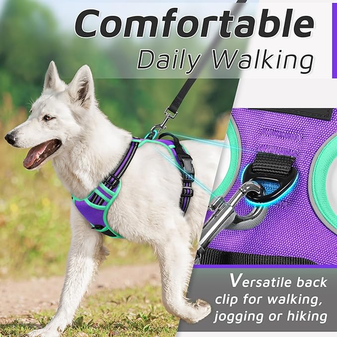 Eagloo Dog Harness for Large Dogs, No Pull Service Vest with Reflective Strips and Control Handle, Adjustable and Comfortable for Walking, No Choke Pet Harness with 2 Metal Rings, Purple & Green, XL-PurrikoPets