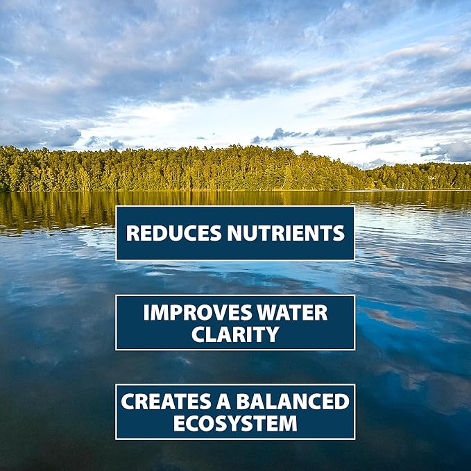 Airmax PondClear Packets, Beneficial Bacteria & Enzyme Clarifier Treatment with Ecoboost PRx, Clear & Clean Pond & Lake Water, Safe for Fish, 12-Count-PurrikoPets