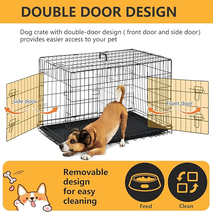 FDW Dog Crate Dog Kennel Cage with Double Door,36 inch Folding Metal Wire Dog Cage with Removable Tray&Divider Panel,Pet Crate for Medium Dogs,Black-PurrikoPets