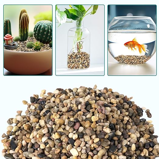 5 lbs Small Rocks for Plants, 1/5 Inch Gravel for Plants Drainage, Decorative Potting Pebbles for Indoor Plants, Vases, Bamboo, Succulent, Terrarium, Crafts, Cactus-PurrikoPets