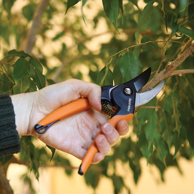 Fiskars Bypass Pruning Shears, 5/8-Inch Cut Capacity SoftGrip Hand Pruner for Small Hands, Blade Stays Sharp Through Heavy Use with Rust Resistant, Low-Friction Coating-PurrikoPets
