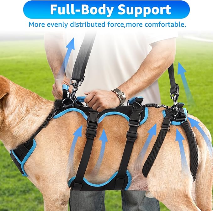 Dog Lift Harness for Large Male Dogs, 2-in-1 Detachable Support Harness, Full Body Carrying with 4 Handles, Dog Sling for Large Dogs Hind Leg Support(Black, X-Large)-PurrikoPets