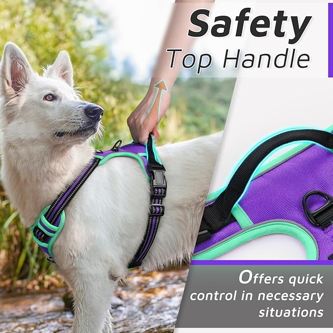 Eagloo Dog Harness for Large Dogs, No Pull Service Vest with Reflective Strips and Control Handle, Adjustable and Comfortable for Walking, No Choke Pet Harness with 2 Metal Rings, Purple & Green, XL-PurrikoPets