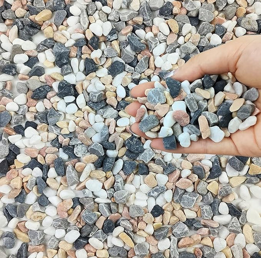 2 lbs Succulent and Cactus Pebbles Gravel, 3/8 Inch Mixed Color Decorative River Rocks for Plants Indoor, Vases, Terrarium, Potted Top Dressing and Outdoor Decorative Stones-PurrikoPets