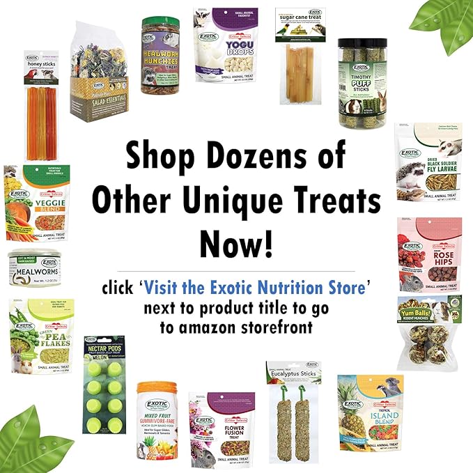 Flower Fusion Treat (1/2 lb) - Healthy Natural Dried Flower Herbivore Treat - Chinchillas, Guinea Pigs, Rabbits, Prairie Dogs, Degus, Hamsters, Rats, Squirrels, Sugar Gliders & Other Small Pets-PurrikoPets