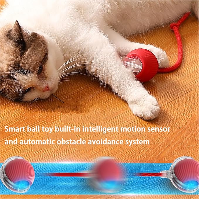 2 Packs Interactive Cat Toy Ball for Indoor Cats - 3-Speed Smart Rolling Ball with Flashing Lights, USB Rechargeable Automatic Motion Kitten Toys for Bored Adult Cats & Playful Kittens-PurrikoPets