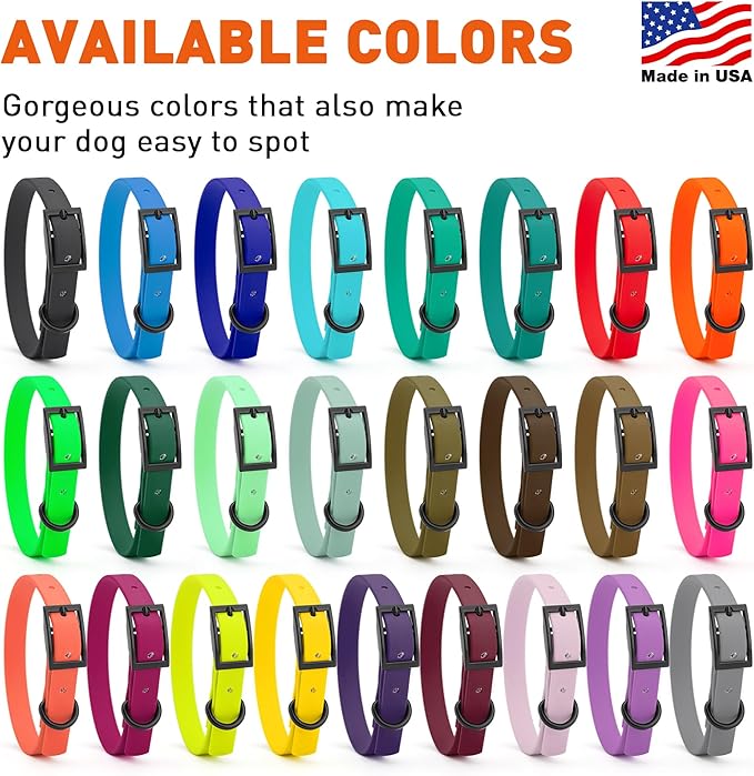 Dogline Biothane Waterproof Dog Collar Strong Coated Nylon Webbing with Black Hardware Odor- Proof for Easy Care Easy to Clean High Performance Fits Small Medium or Large Dogs, Sage Green-PurrikoPets