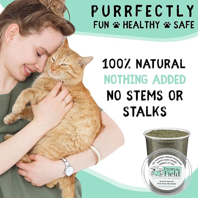 from The Field | Fine Ground Stalkless Catnip | Premium USA-Grown Catnip for Toys & Playtime | Fresh, Potent, Non-Toxic, Eco-Friendly | Safe for Kittens & Cats | Resealable 6 oz Tub-PurrikoPets