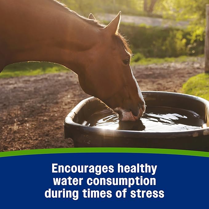 Farnam Apple Elite Electrolyte Paste Supplement for Horses, Replaces Vital Minerals, Encourages Hydration, No Added Sugar, 60 cc syringe-PurrikoPets