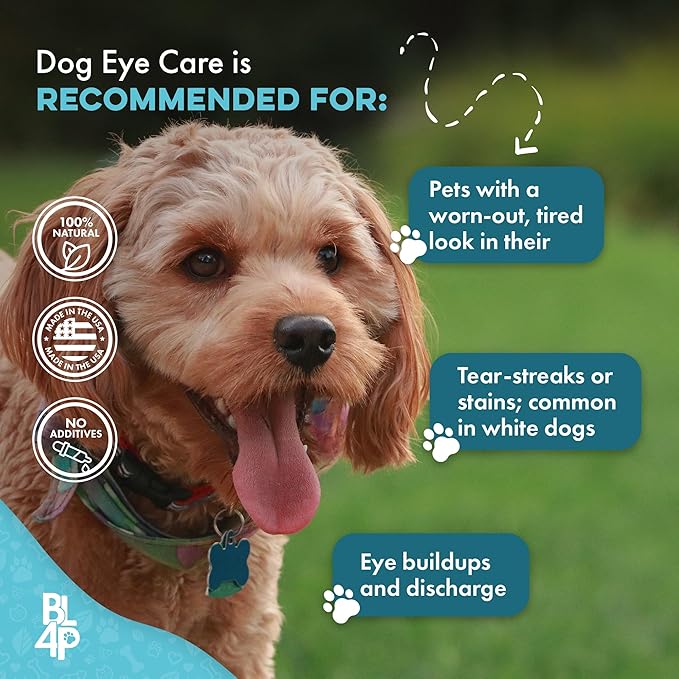 Dog Eye Care & Infection Treatment, Natural Dog Supplements for Conjunctivitis, Swelling, Dry Eyes and Discharge, Easy to Use, No More Struggle with Canine Drops, 400 Small Pills-PurrikoPets