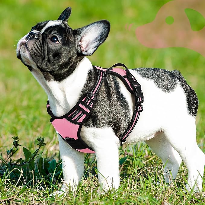 Eagloo Dog Harness Small Sized Dog, No Pull Service Vest with Reflective Strips and Control Handle, Adjustable and Comfortable for Easy Walking, No Choke Pet Harness with 2 Metal Rings, Pink, S-PurrikoPets