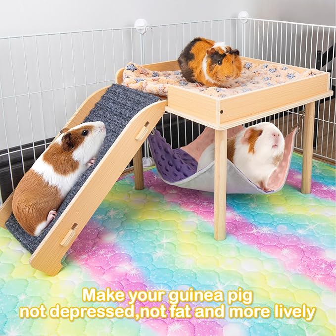Enlarged Guinea Pig Hammock with Platform and Stairs,Wooden Small Animal Hideout for Guinea Pigs Bunny Ferret Hamster Hiding Sleeping Activities(Single)-PurrikoPets