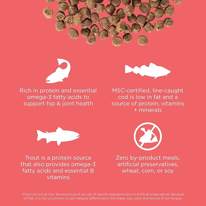 Go! Solutions Carnivore, Grain-Free, Protein Rich Dry Cat Food, Salmon and Cod Recipe, 8 lb Bag-PurrikoPets