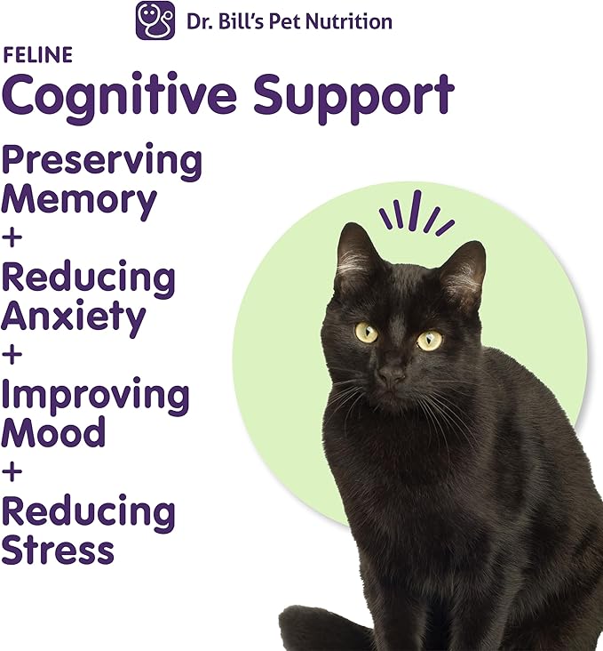 Dr. Bill's Feline Cognitive Support | Memory Support Supplement for Cats | Pet Supplement | Contains Gingko Biloba, L-Carnosine, Vitamin B-12, L-Glutamine, L-Tyrosine, and DHA-PurrikoPets