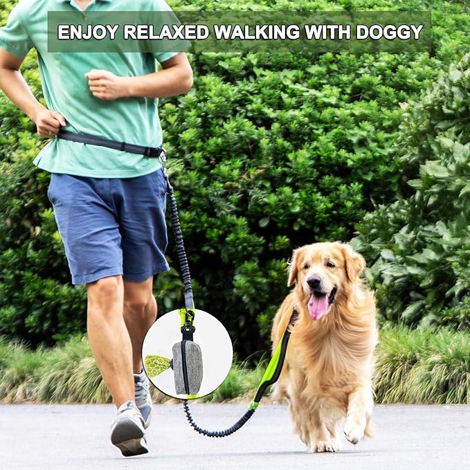 (2 Pack) Dog Poop Bag Holder for Leash,Doggie Waste Bag Dispenser Small Doggy Poop Bag Zipper Pouch with Carabiner Clip, Leash Attachment Holder for Pet Puppy Poop Bags-PurrikoPets