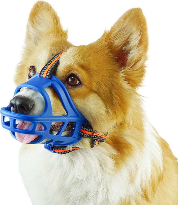 Dog Muzzle, Basket Muzzle for Small Medium Large Dogs, Anti-Biting and Chewing, Lightweight & Sturdy Cage Design,Allows Panting & Drinking, Ideal for Grooming & Training(Blue Size M)-PurrikoPets