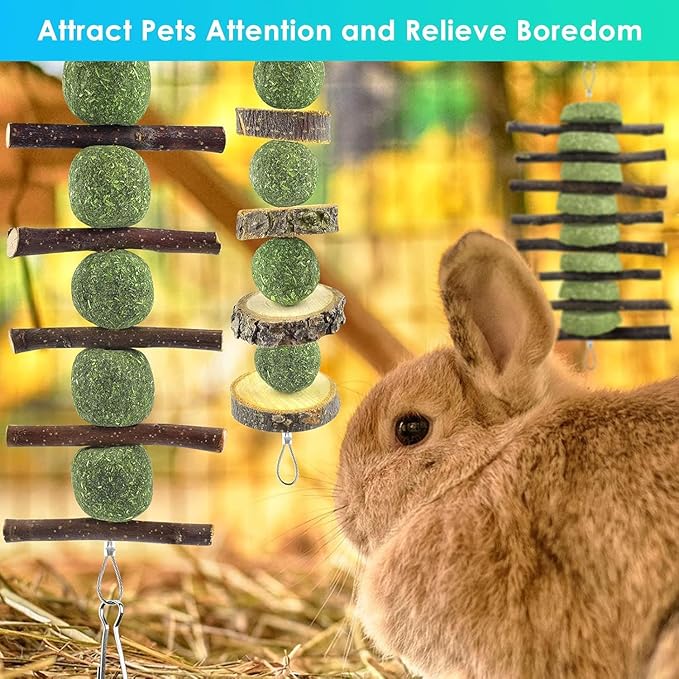 ERKOON Bunny Chew Toys, Rabbit Chew Toys for Teeth Grinding, Improve Dental Health, 100% Natural Apple Wood Timothy Grass Cake Treats for Rabbits Guinea Pigs Chinchillas Bunnies Hamsters (9 Pcs)-PurrikoPets