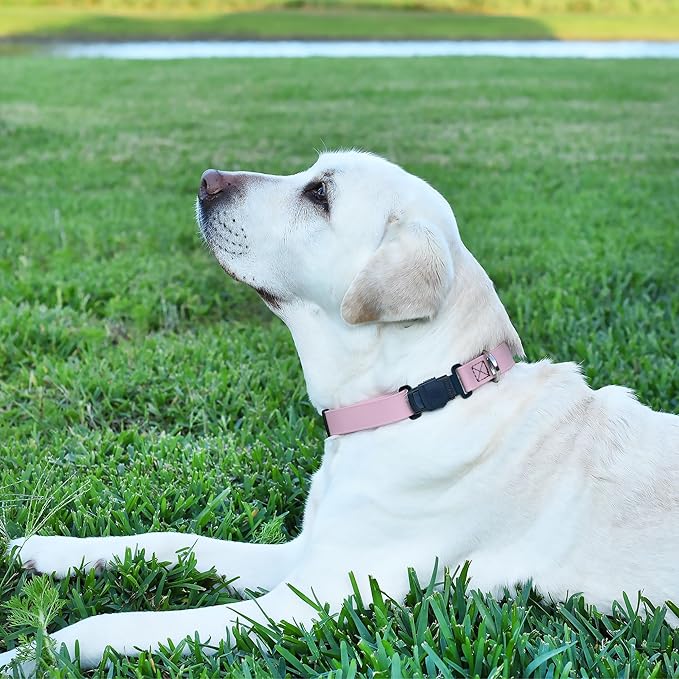 Dogline Biothane Waterproof Dog Collar with Herm Sprenger Stainless Steel Quick Release Buckle – Heavy Duty Tactical Durable Collar for Dogs – Comfortable and Safe Pet Collar, W 3/4" L 12-19", Pastel-PurrikoPets