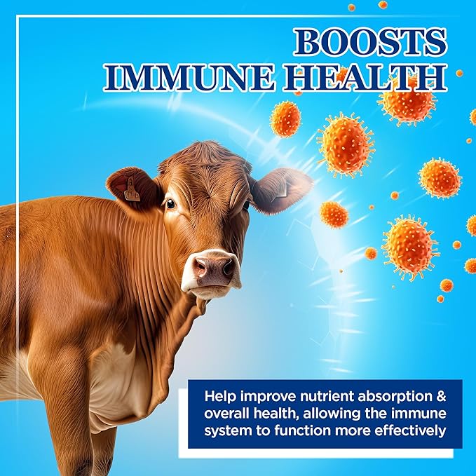 Equerry's Large Animal Probiotic | Supplements for Gut Health and Nutrient Absorption | Probiotics and Digestive enzymes for Horses, Cows, Goats, Sheep, Pigs, 160 Feedings (20lbs) for 1000 lb Animal-PurrikoPets