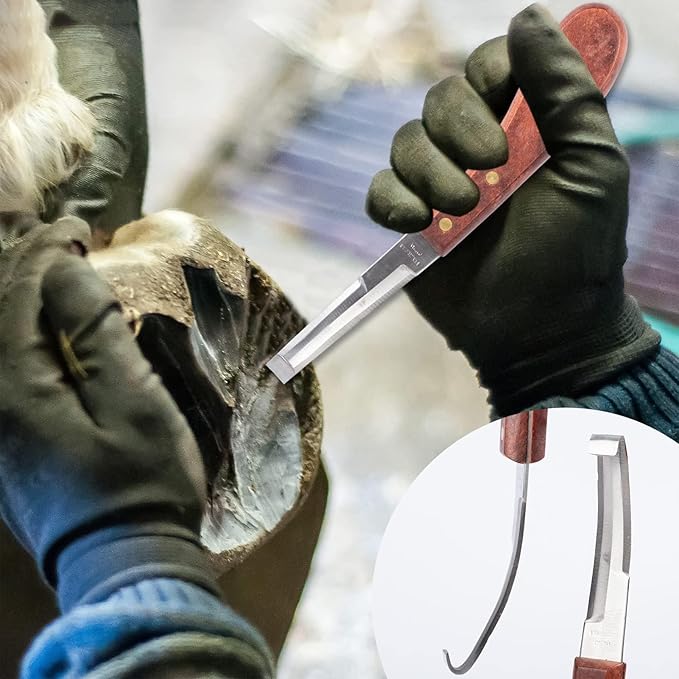 1112 Temp 11pcs Farrier Tools Farrier kit Horse shoeing Tools Farrier Supplies Farrier Tools for Horses Cattle Sheep and Donkeys-PurrikoPets