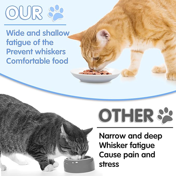 6 Pack Cat Food Bowl, Ceramic Cat Bowls, Anti Whisker Fatigue Cats Bowl,5.5 Inches Shallow Wide Kitten Plates for Food and Water (White)-PurrikoPets