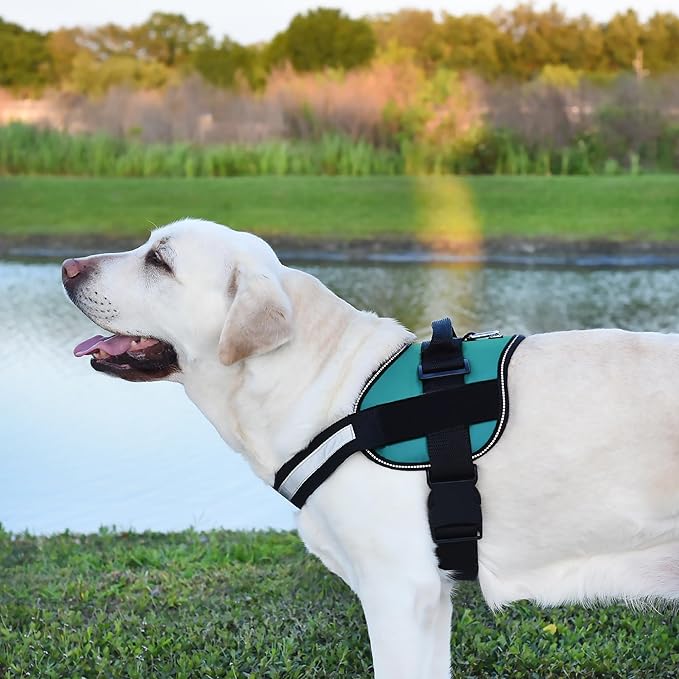 Dogline Dog Harness, Reflective No-Pull Adjustable Vest with Handle for Walking, Training, Breathable, No - Choke Harness for Small, Medium or Large Dogs Room for Patches Girth 33"-46" in Turquoise-PurrikoPets