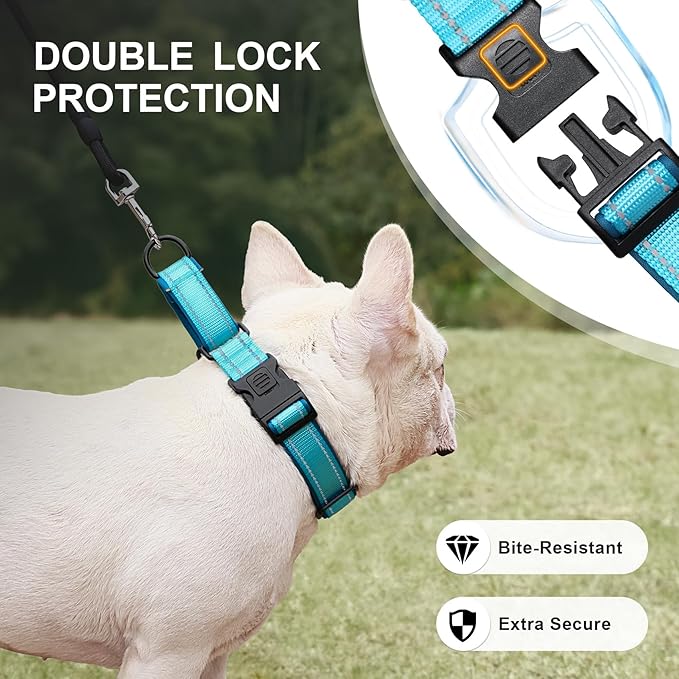 Airtag Dog Collar with Martingale Design, IP68 Waterproof Air Tag Collar Holder, Adjustable Reflective Soft Padded Nylon Dog Collar for Large Medium Small Dogs-PurrikoPets