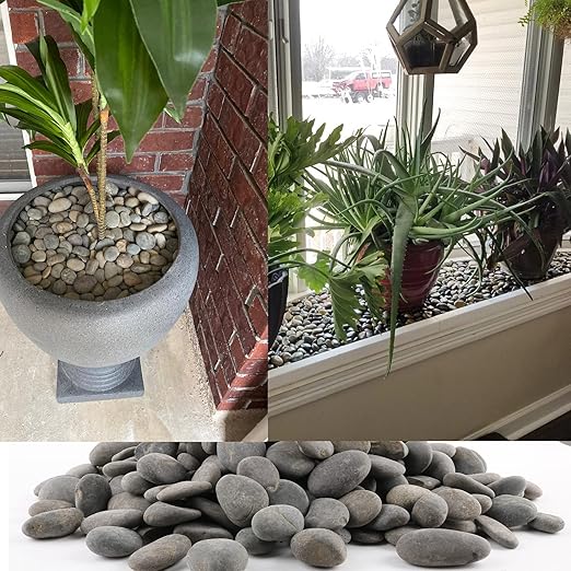 18 Pounds Natural River Rocks Mexican Beach Pebbles for Garden Landscape Stone Paving Stone Grey (1Inch)-PurrikoPets