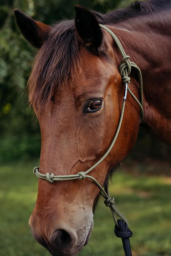 Double Braid Polyester Yacht Horse Lead Rope with Loop 12ft. or 14ft. Lengths (Beige, 14 ft. No Snap)-PurrikoPets