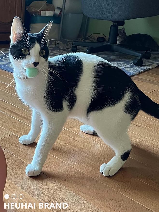 80-Pack Cat Toy Balls 10 Assorted Colors 1.25 Inch Diameter Suitable for All Cat Sizes (Cat Toys Value Pack)-PurrikoPets