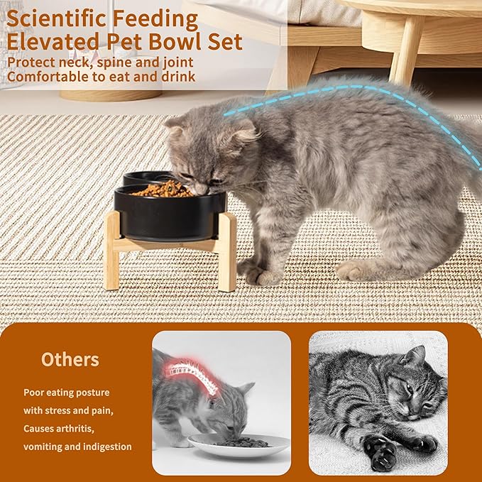 Elevated Ceramic Dog Bowl Set - Raised Feeding Bowls with Non-Slip Bamboo Stand - Small Pet Dishes for Food and Water - Ideal for Cats and Puppies - 16.23 OZ - 2 Cups - 480 ML-PurrikoPets