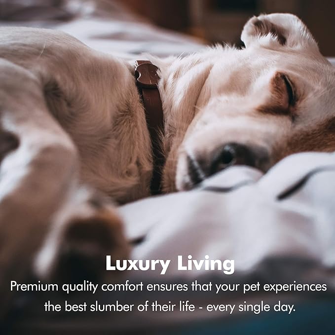 Friends Forever X-Large Dog Bed, Orthopedic Dog Sofa Memory Foam Mattress, Calming Dog Couch Bed, Wall Rim Pillow, Water Resistant Liner, Washable Cover, Non-Slip Bottom, Chester, X-Large Khaki Beige-PurrikoPets