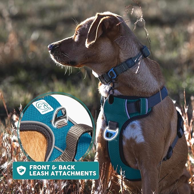 Embark Adventure Dog Harness, Reflective Trim No Pull Dog Harness Medium Sized Dogs - Military Grade Nylon, Front Clip with Gel Lined Handle.-PurrikoPets