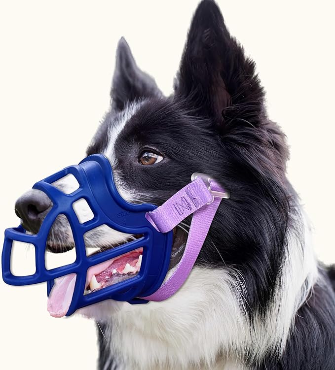 Dog Muzzle, OKKIC Basket Muzzle Anti Biting Chewing, Sturdy Lightweight Muzzle Allows Panting Drinking,Muzzle for Small Medium Large Dogs, Suitable for Grooming Trimming Training (Blue, Size3)-PurrikoPets
